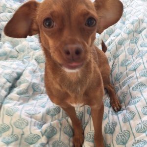 Meet your Posher, John